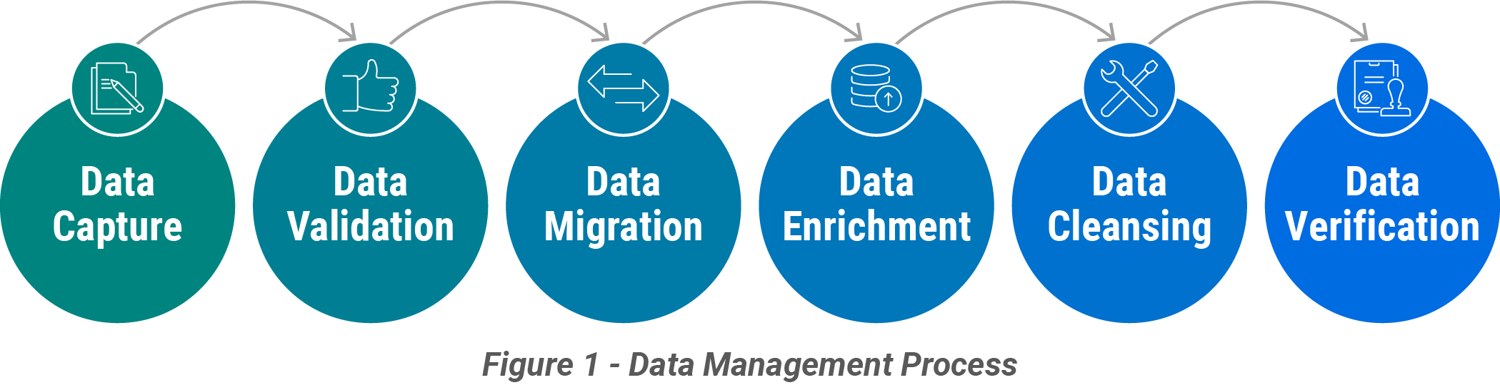 Figure 1: Data Management Process graphic as described in the text.