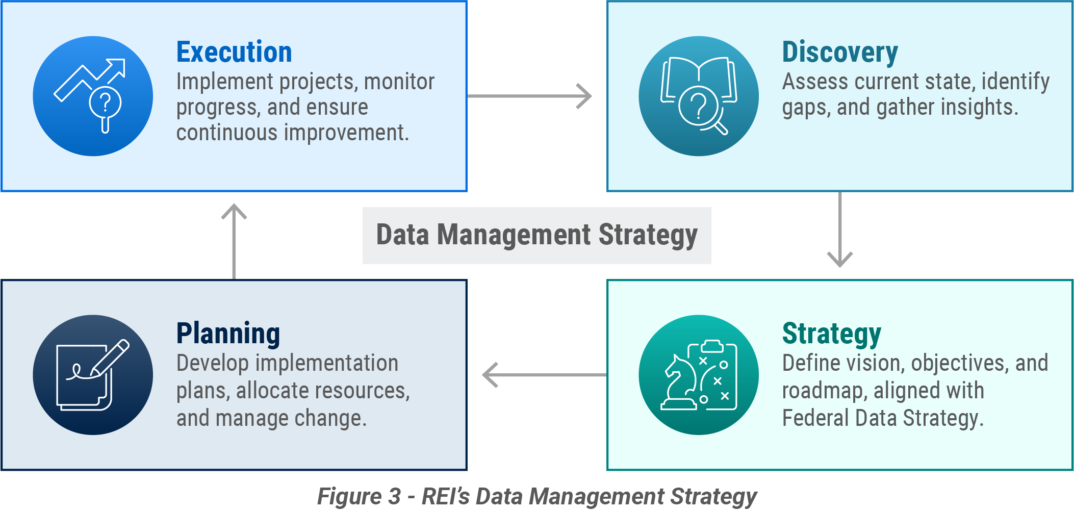 Figure showing REI's data management strategy as described in the text.